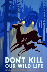 dont-kill-our-wildlife