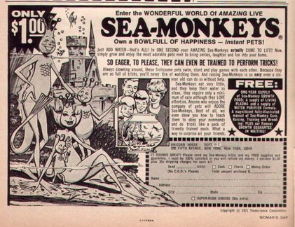 sea-monkeys-1.00