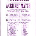 weybridge-cricket