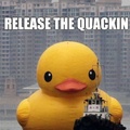 release-the-quackin