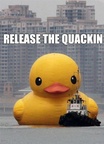 release-the-quackin
