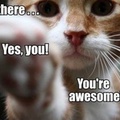 youre-awesome-1