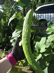 IMG 0615