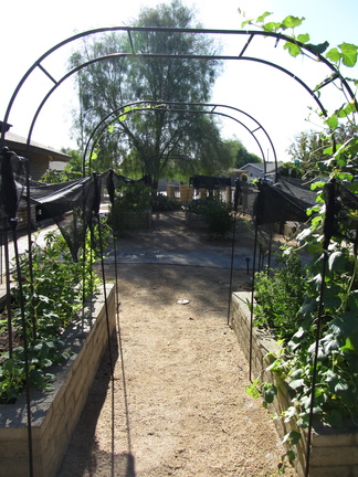IMG 0647