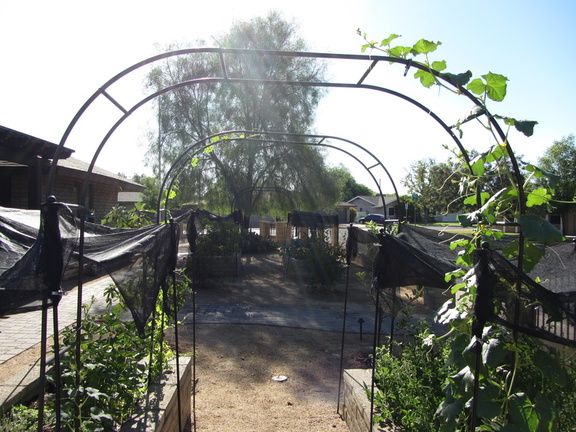 IMG 0646