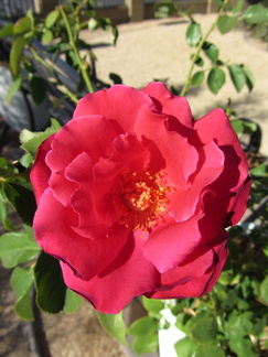IMG 0644