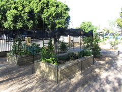 IMG 0645