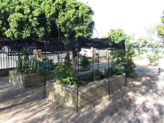IMG 0645