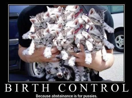 birth-control-kittens.jpg